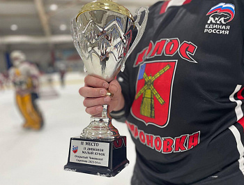 Состоялся финал Открытого чемпионата Саратова 2023-2024 по хоккею
