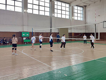 В минувшие выходные прошло первенство Питерского района по волейболу среди девушек, посвящённое «Дню народного единства»